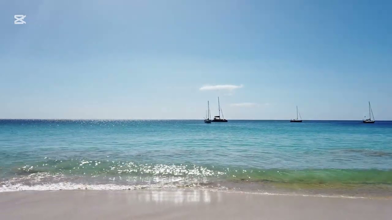 Playa Jandia / Morro Jable / Fuerteventura/ Canary Islands - luty 2025 ♥️🌴🌊