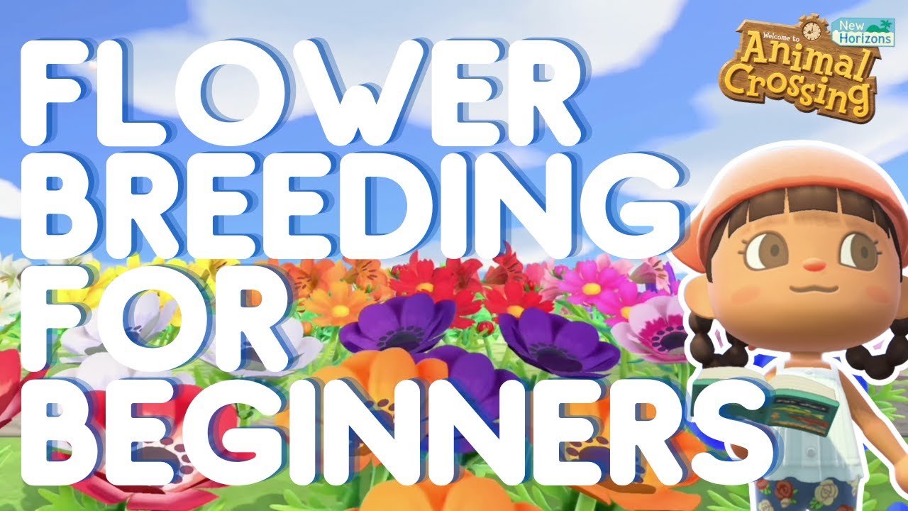 Flower Breeding for Beginners | Animal Crossing New Horizons