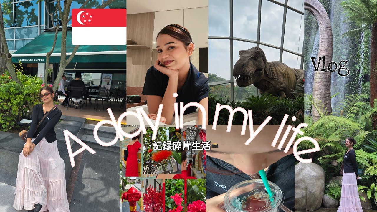 A Work+ Travel vlog|| A day in my life || vlog1