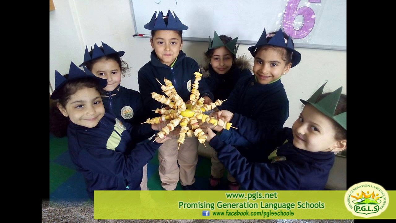 PGLS - Promising Generation Language Schools