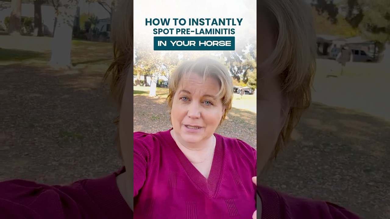 How To Identify Pre-Laminitis in Your Horse