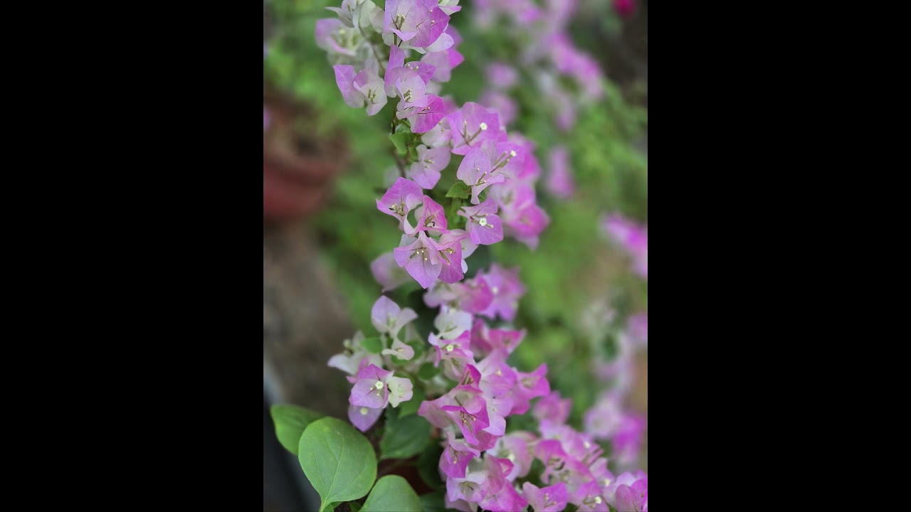 asquare_photography