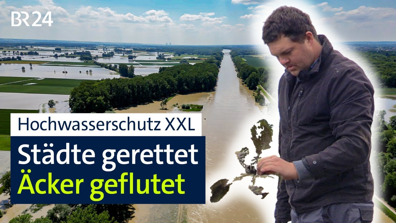 Hochwasserschutz mit Fluch und Segen: Bayerns größtes Überschwemmungsgebiet | BR24 vor Ort