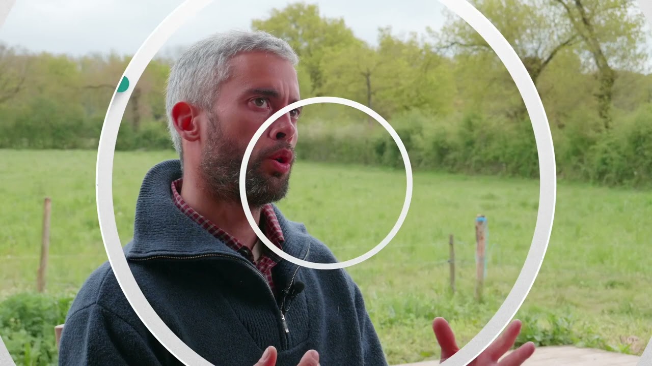 La gestion du colostrum en élevage allaitant