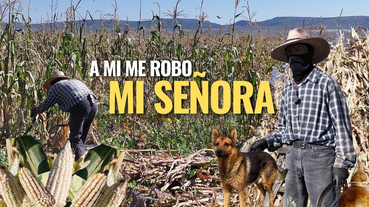 "A MI ME ENSEÑO A TRABAJAR MI PAPA DESDE MUY CHICO Y MI VIDA ES EL CAMPO"