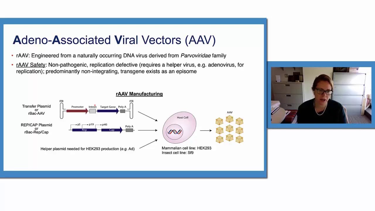 Adeno Associated Viral Vectors