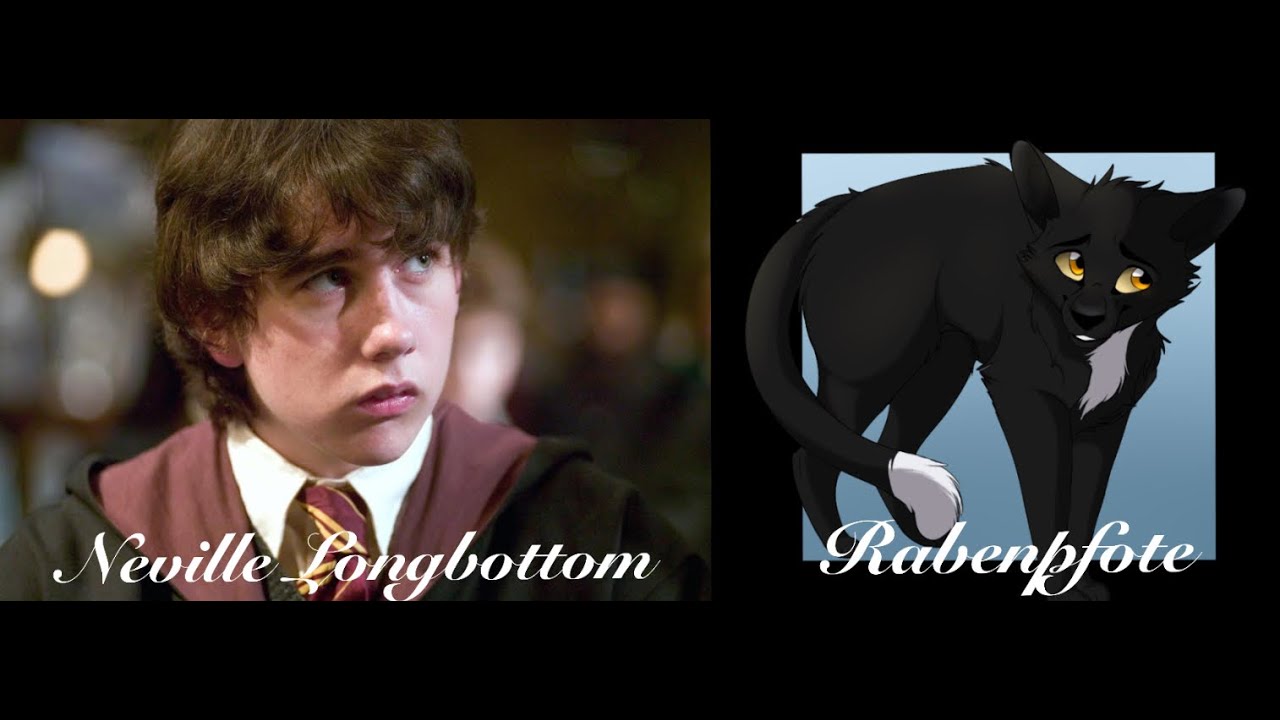 Warrior Cats und Harry Potter || Warrior Cats Videos
