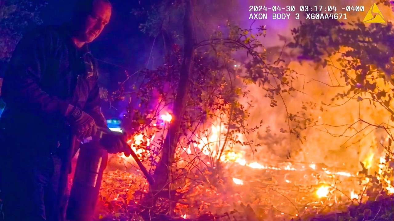 Arsonist Tries Lighting Whole Forest on Fire