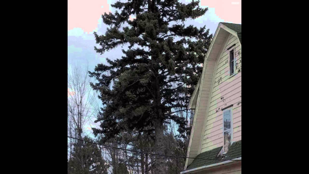 Bones , Drew The Architect & Cat Soup - Slán [Full