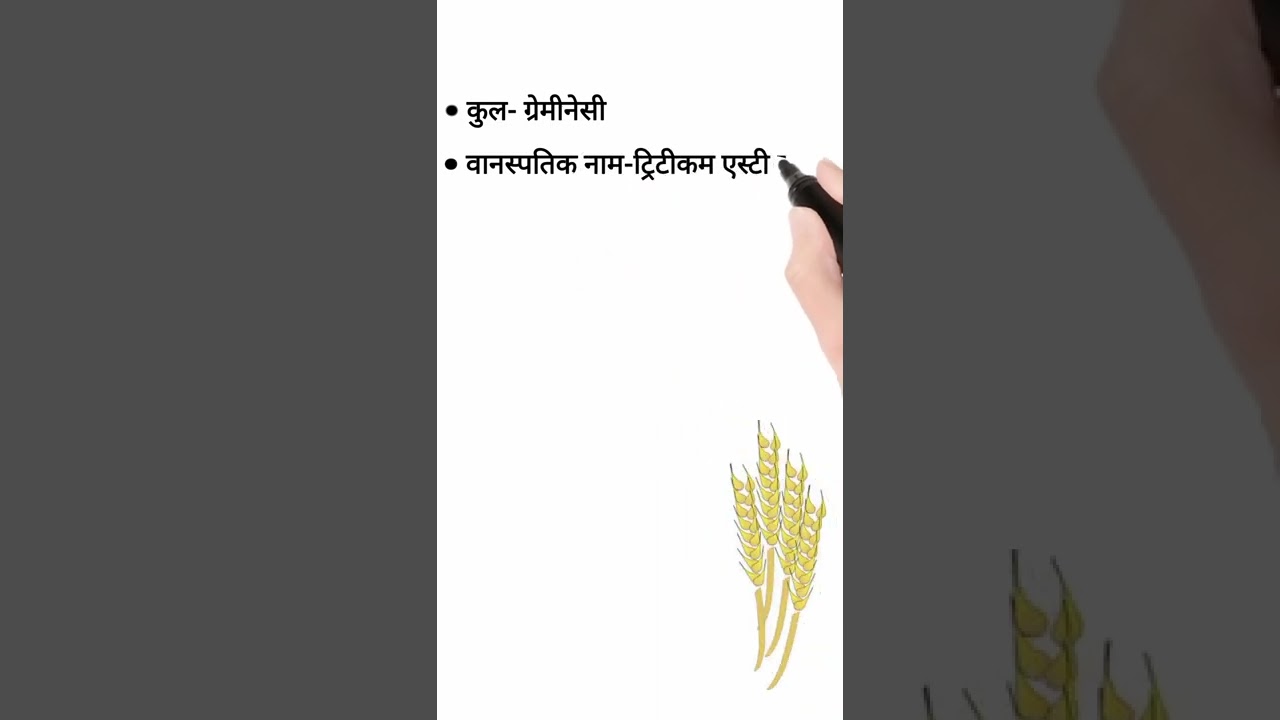 M.P. mcq #mppsc #mppatwari #mpgk