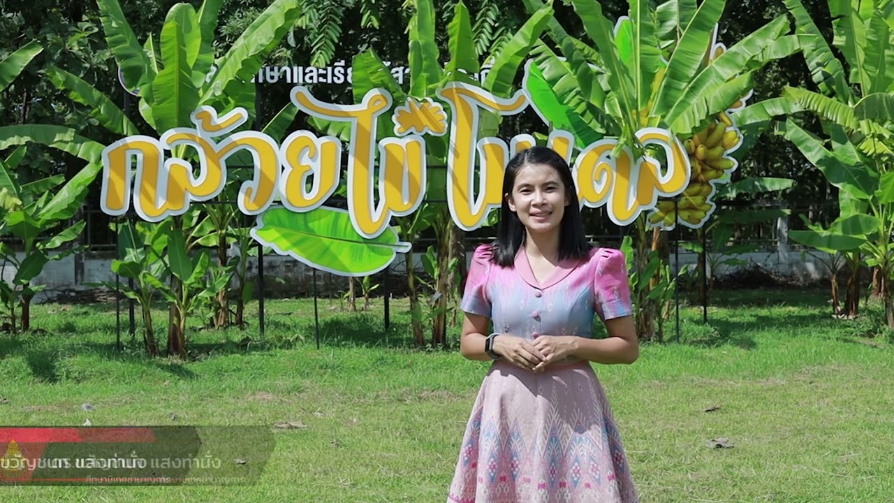 หลักสูตรบูรณาการการศึกษาปลอดภัยและมีคุณภาพ