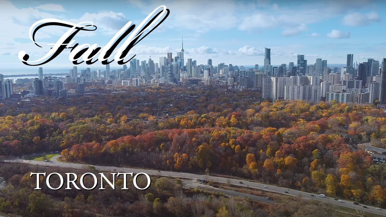 Toronto Fall | DJI Mini Drone | Canadian City Downtown Skyscrapers Skyline 2021 Aerial View 4K