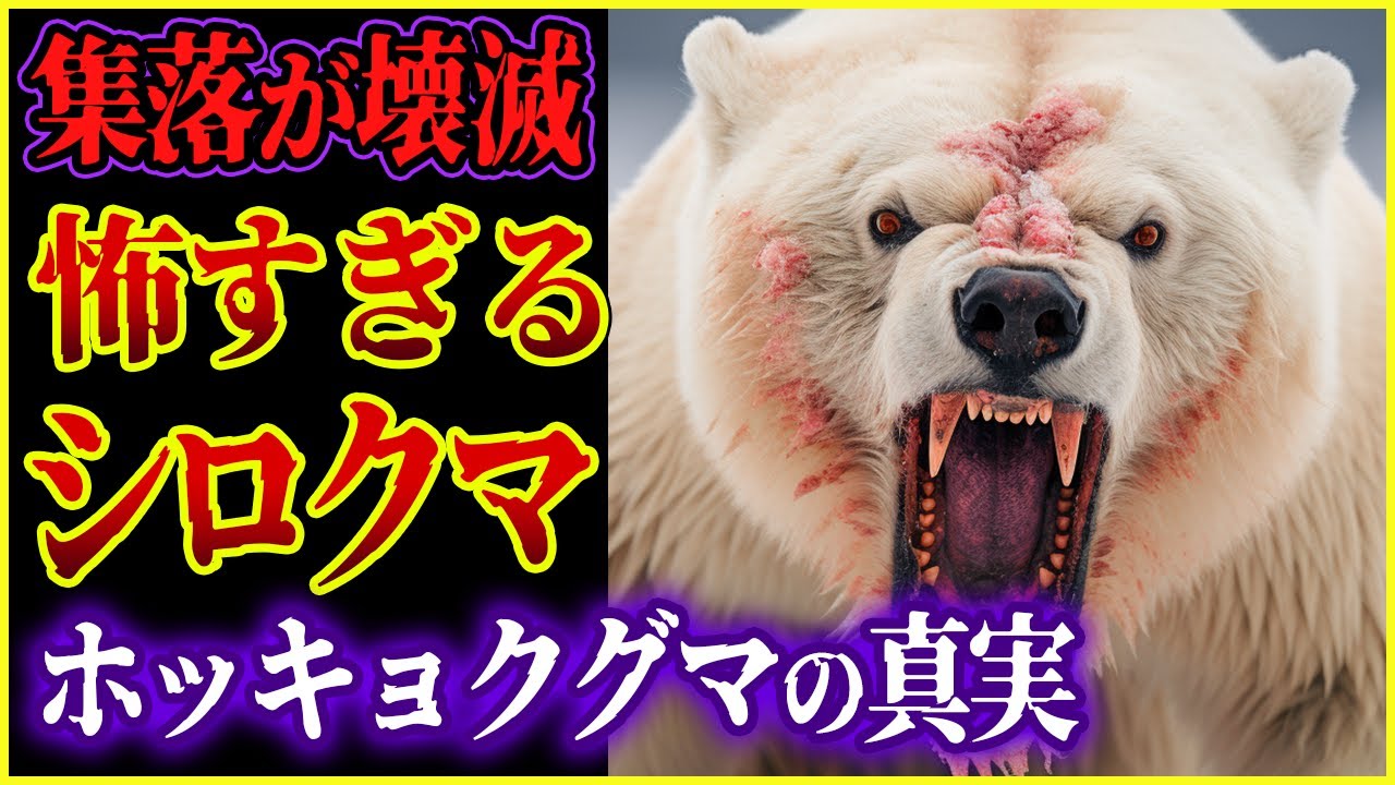 【ゆっくり解説】シロクマは人食い熊!? ホッキョクグマの本当は怖い生態と事件を解説! / 最新のホッキョクグマ獣害! /悲惨の獣害「ラブラドール事件」とは!?