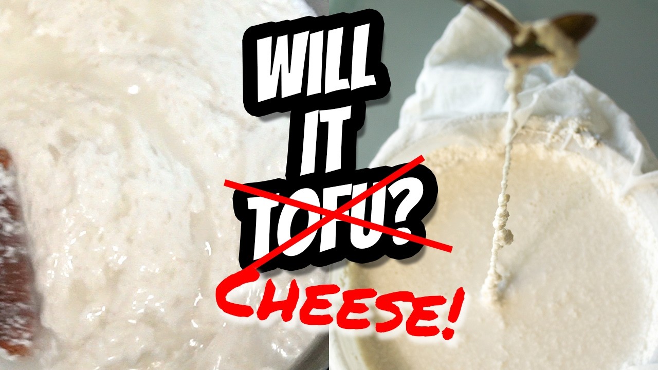 Mozzarella from SEEDS?! Has 'Will It Tofu' Gone 2 Far? | Mary's Test Kitchen