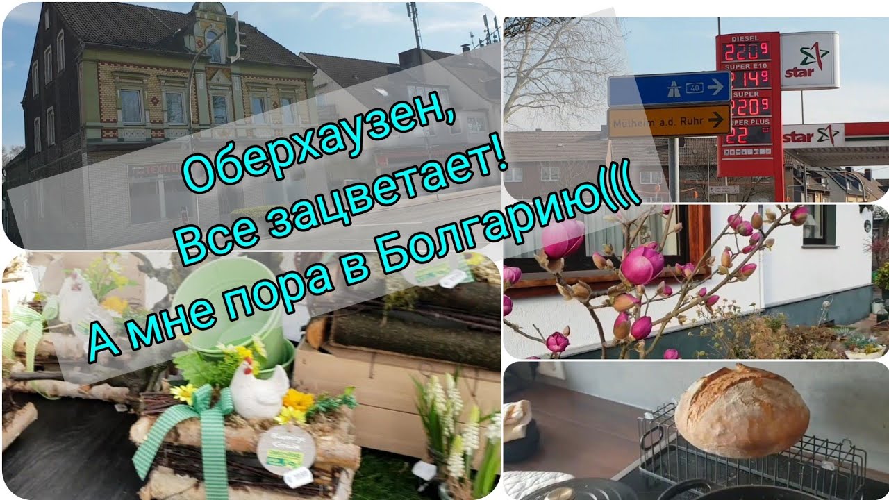 Германия, Оберхаузен, март 2022.  Гуляем. Садовый центр. На завтрак-домашний хлеб.