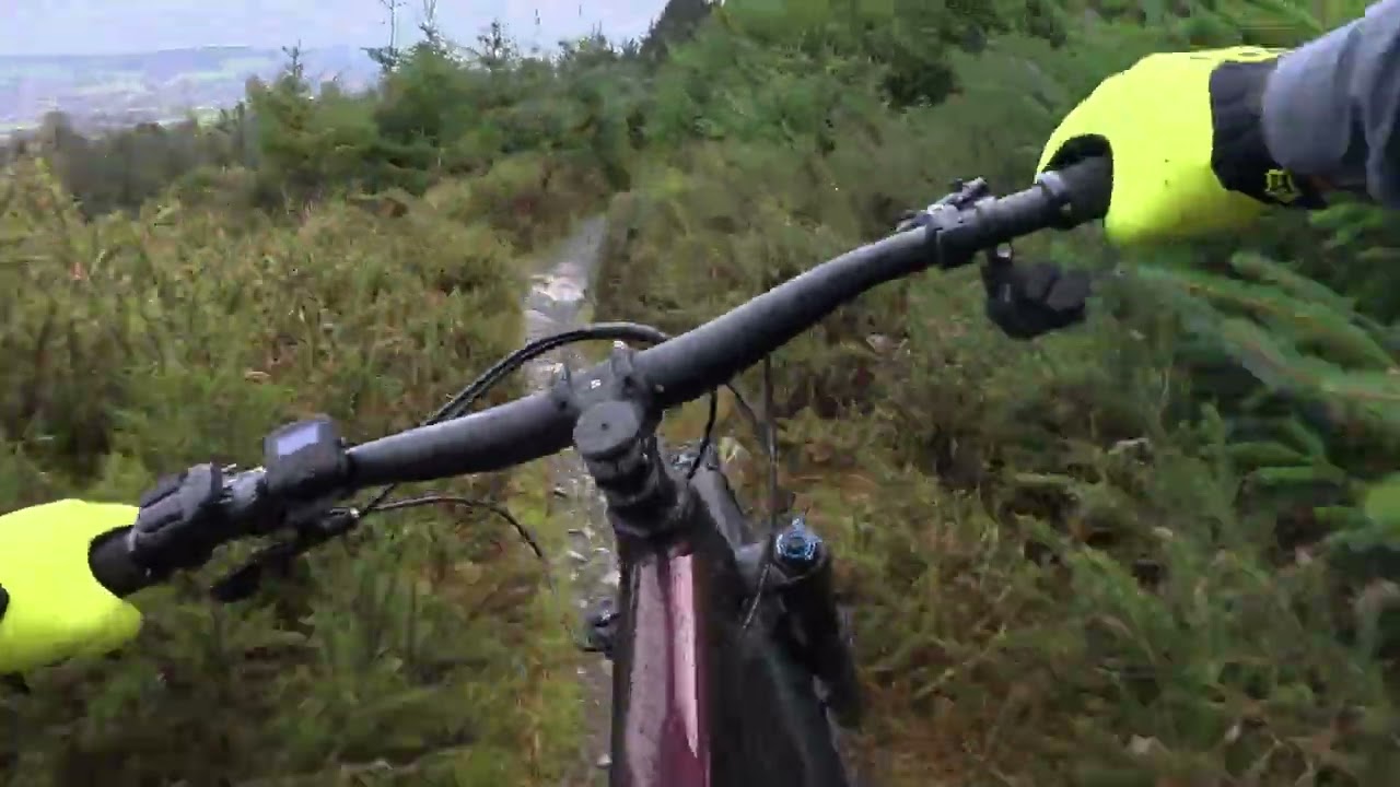 BACK IN Ticknok! 🌧️ MTB after Storm Claudia - Super WET Trail Day!Ride-live enjoy 😉 