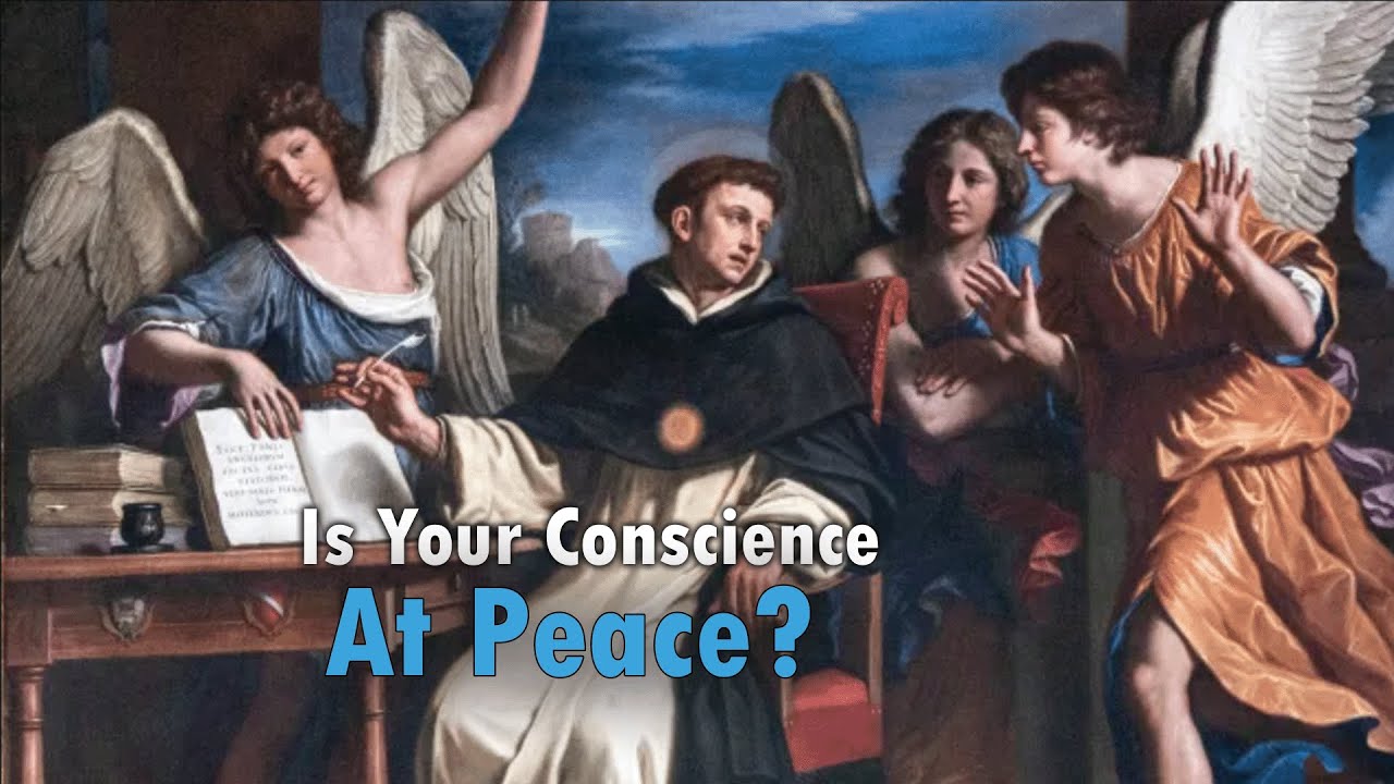 The Particular Examination of Conscience #1 – How it Works