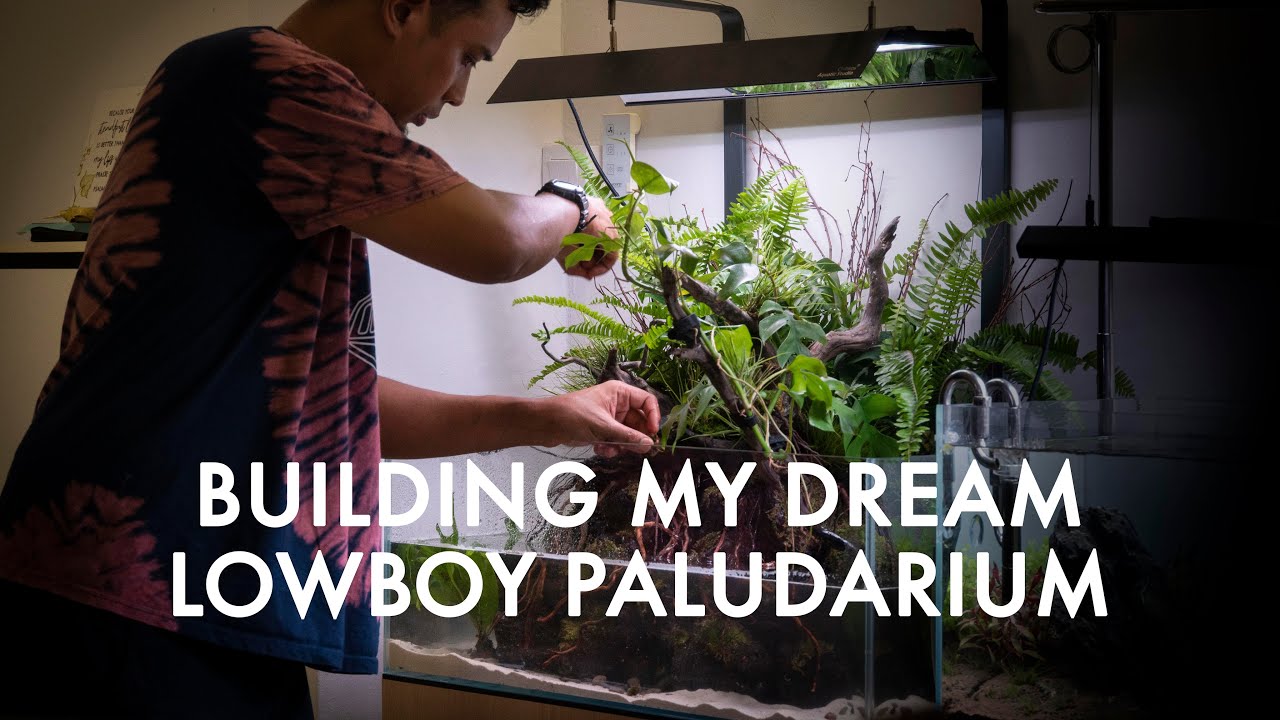 Building My Dream Lowboy Paludarium in 4K