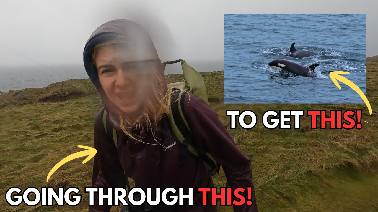 The WORST weather we have ever chased ORCA in!