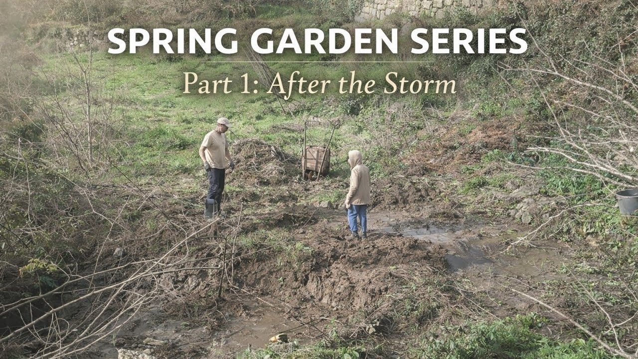 Spring Garden Series | Part 1 – Preparing for Spring After Storm Kristin 