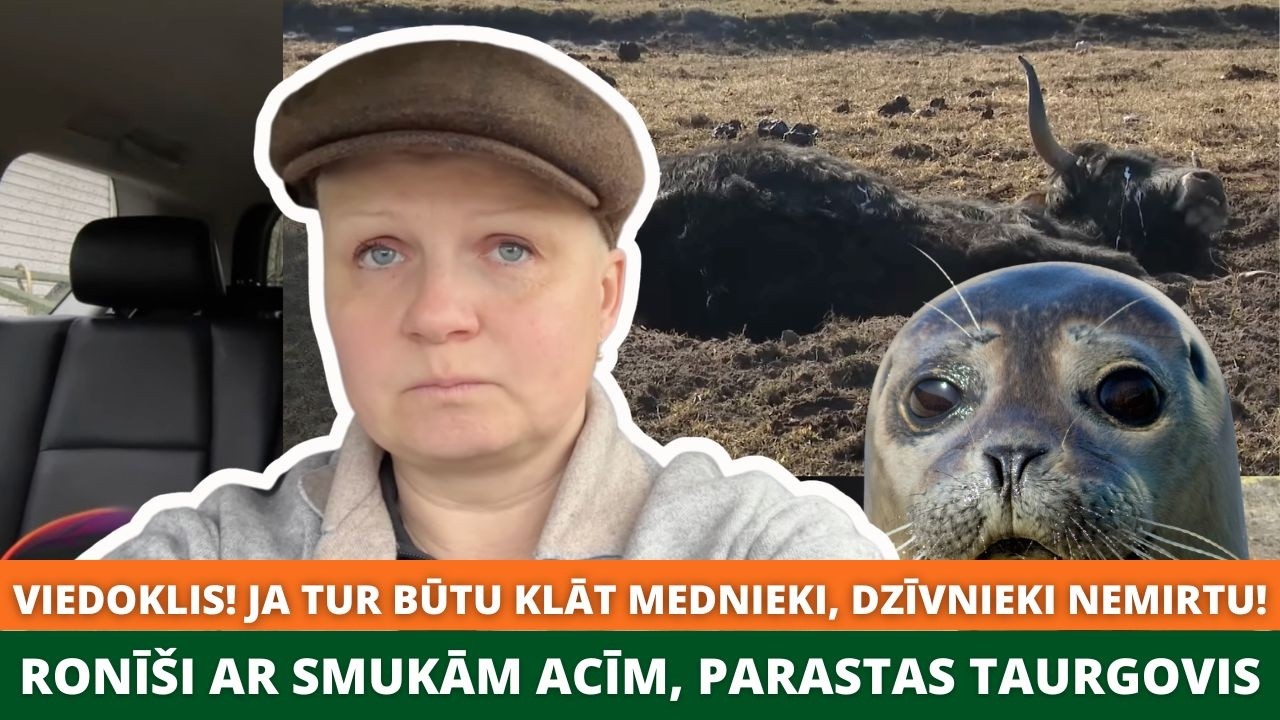 Viedoklis! Ja tur būtu klāt mednieki, dzīvnieki nemirtu! Ronīši ar smukām acīm, parastas taurgovis