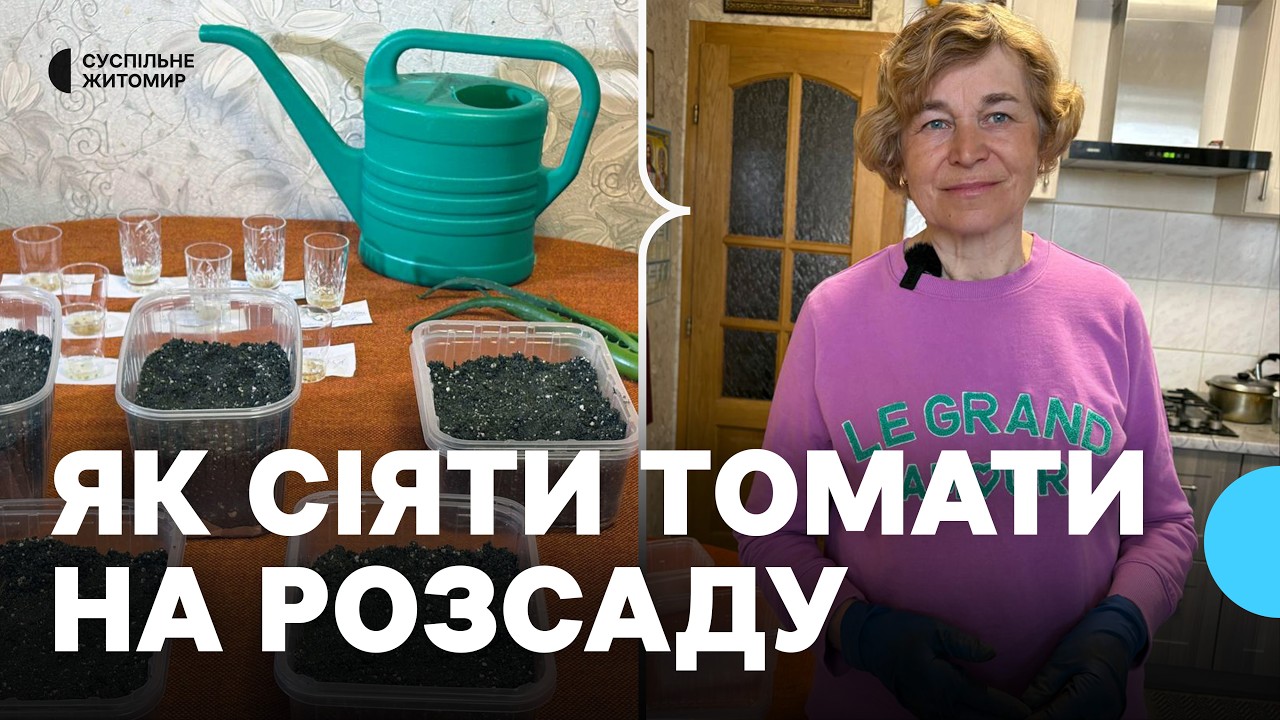 Як підготувати насіння і ґрунт для розсади помідорів: поради городниці з Житомирщини