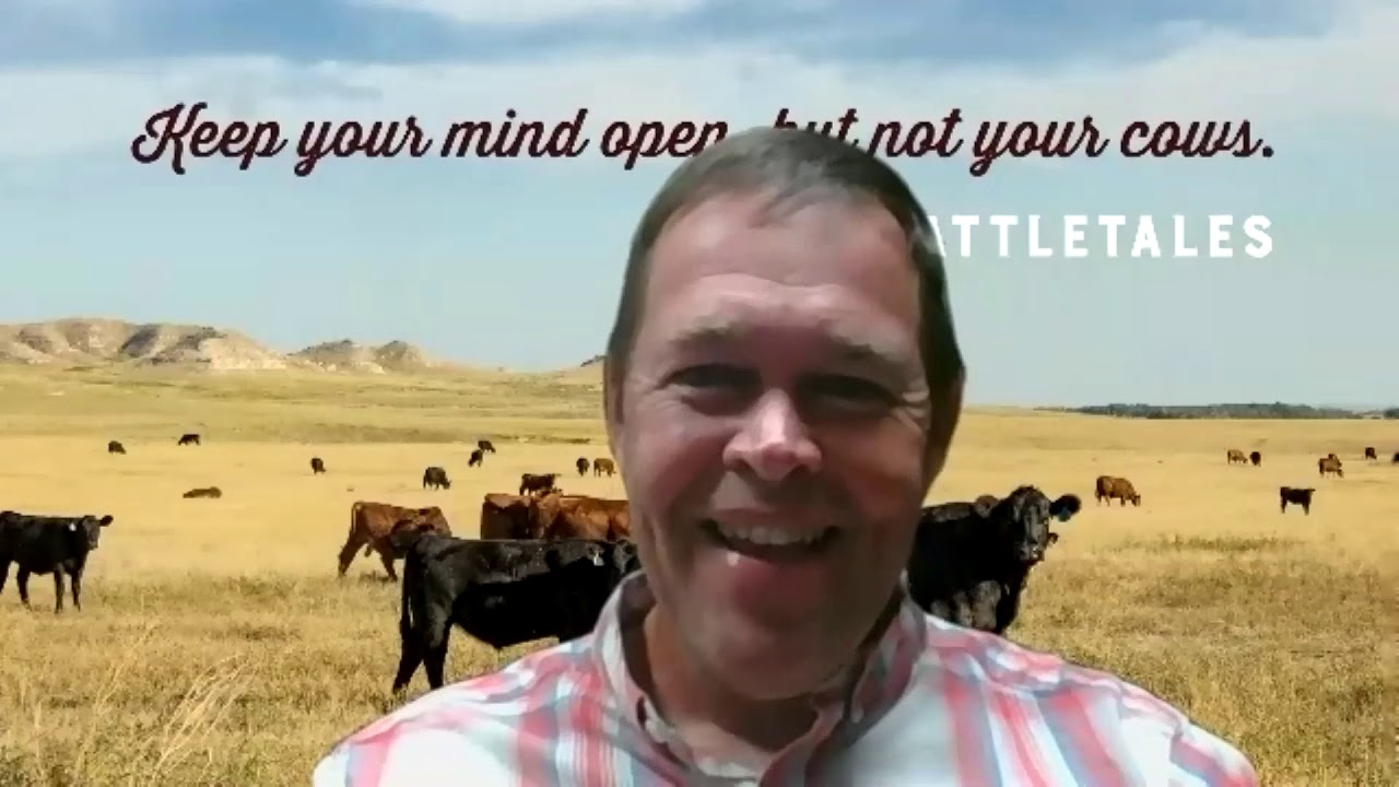 38 - What you need to know about Anaplasmosis & BVDV