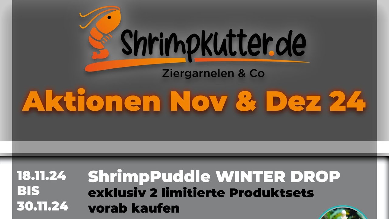 Angebote Angebote Angebote 