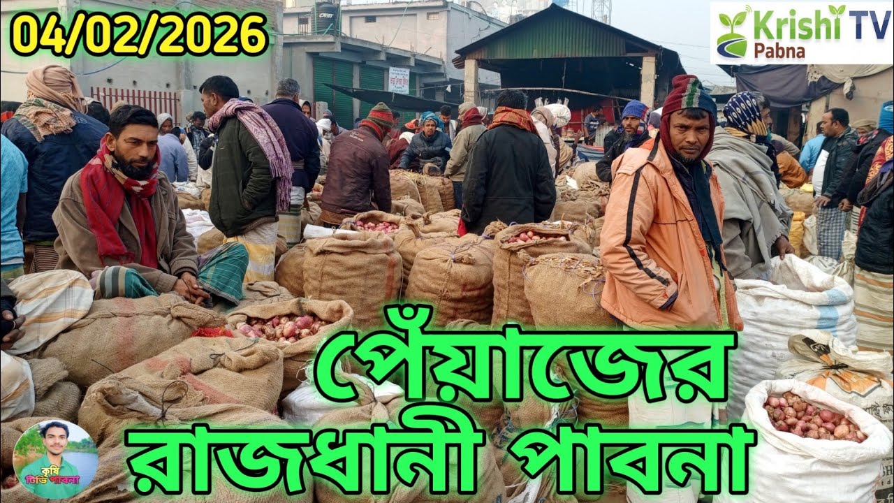 ৪/২/২০২৬ |রোজ বুধবার এক রাতেই পাল্টে গেল পেঁয়াজের রাজধানী পাবনার বাজার দর! মাথা নষ্ট 