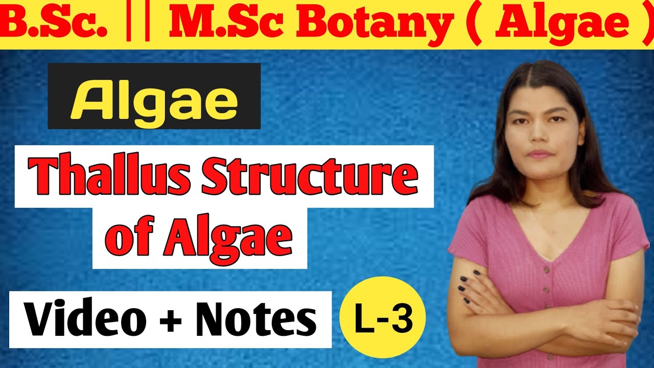 Thallus structure of algae | MSc Botany | BSc 1st year Botany |