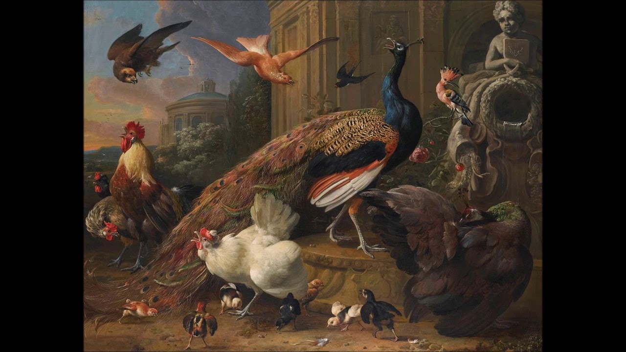Haydn: piano concerto Hob. XVIII/3 in F major. Brautigam, Concerto Copenhagen