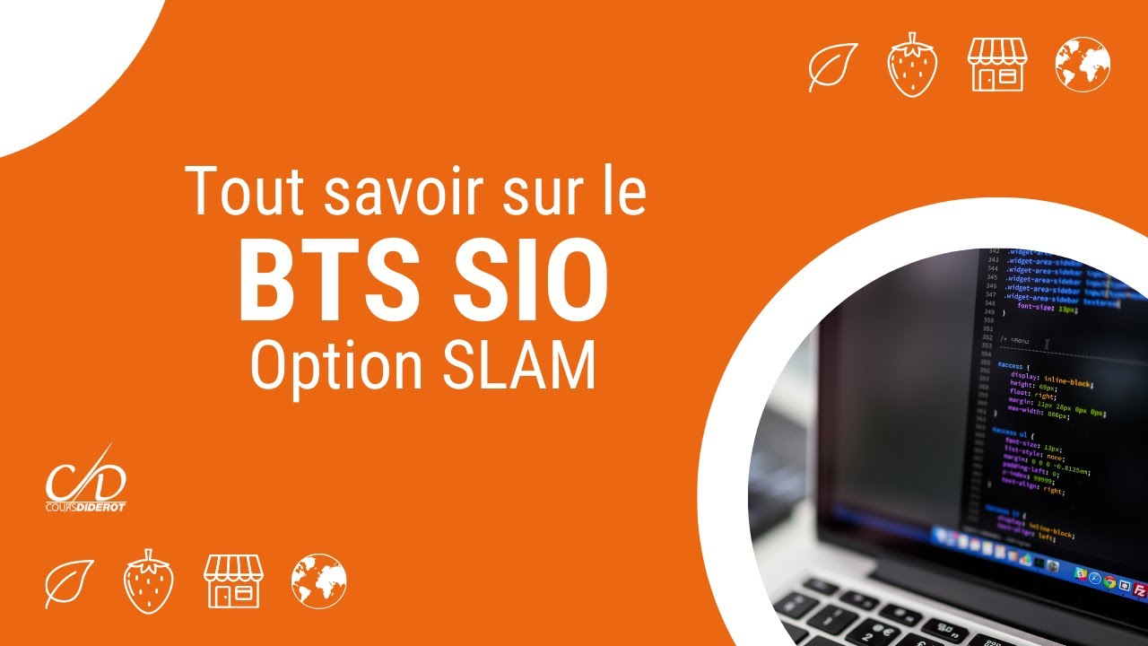 Всё, что вам нужно знать о программе BTS в сфере ИТ-услуг для организаций (SLAM) — начальная или ...