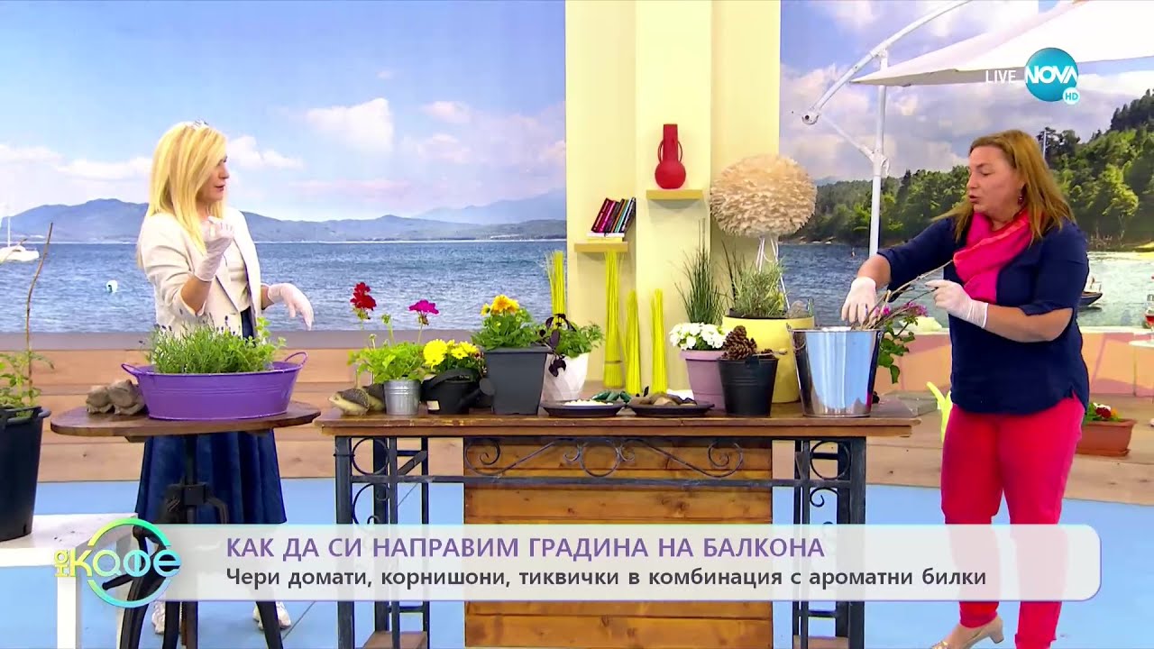 Как да си направим градина на балкона? - „На кафе” (11.05.2022)