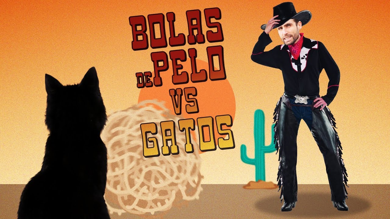 ¿Es normal que tu gato expulse bolas de pelo? 😾🏜️🤠| Todas vuestras DUDAS aclaradas