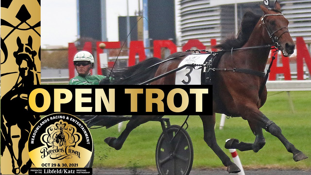 2021 Breeders Crown - Ecurie D - Open Trot