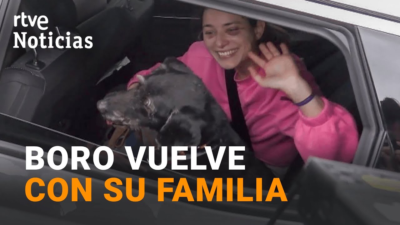 ACCIDENTE FERROVIARIO | El PERRO BORO, RESCATADO con VIDA tras el SINIESTRO, se REÚNE con su FAMILIA