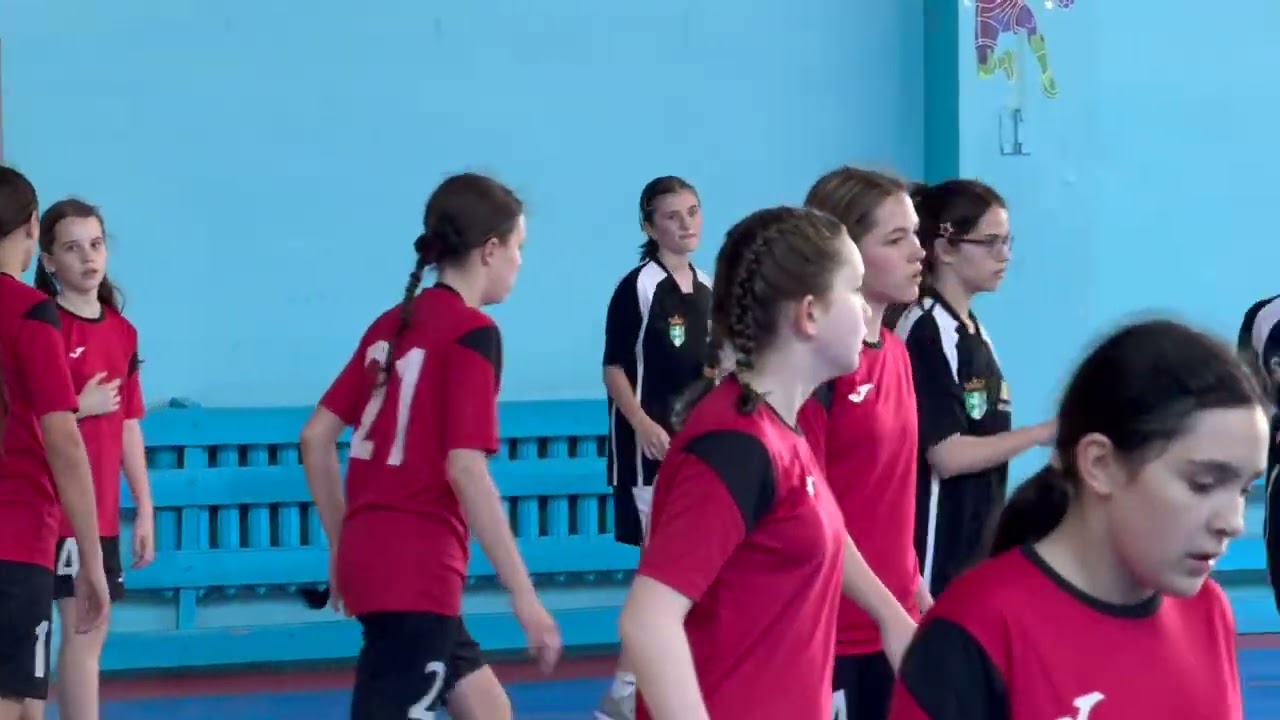 Handball Moldova: SS Tiraspol vs SS Falesti, 22 Martie 2025