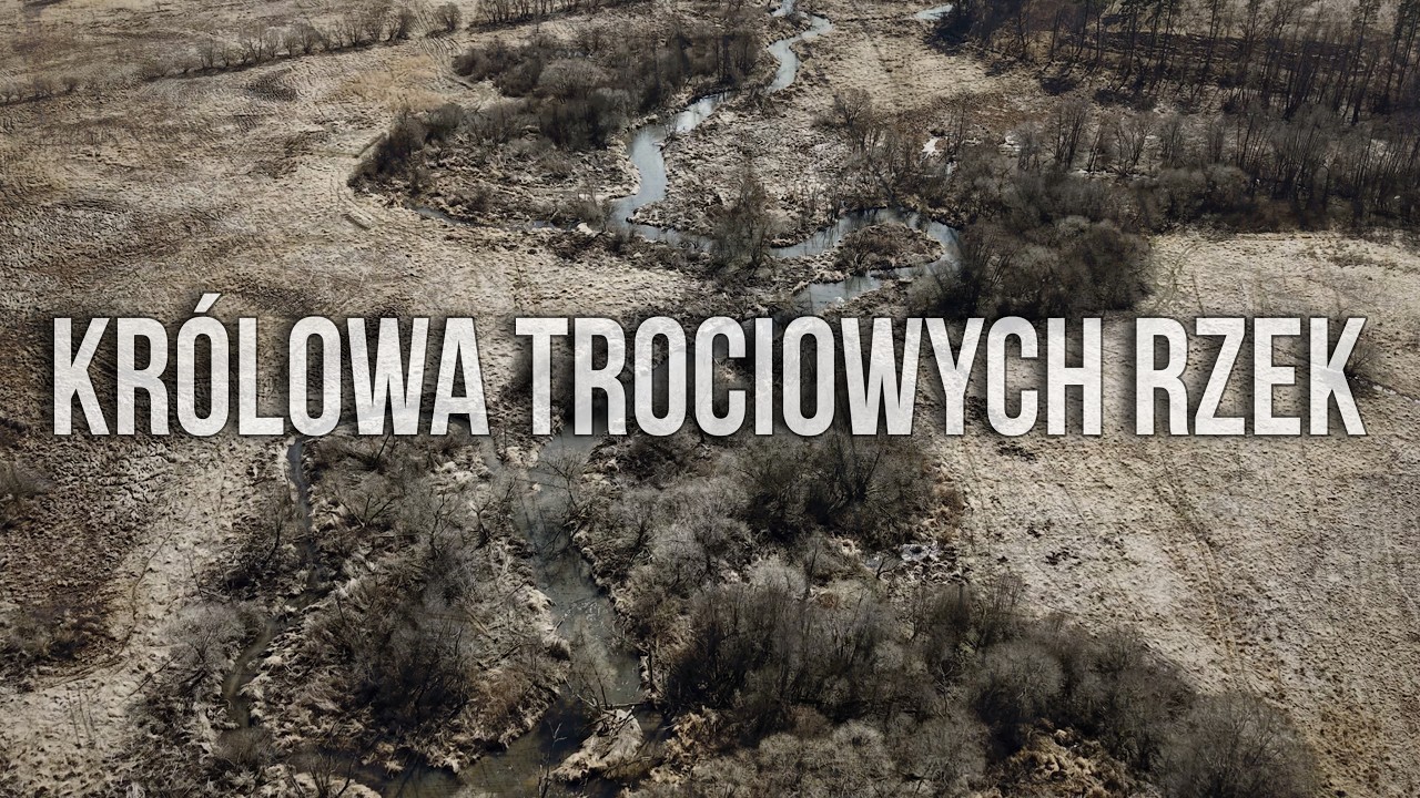 Tego o niej nie wiedziałeś!