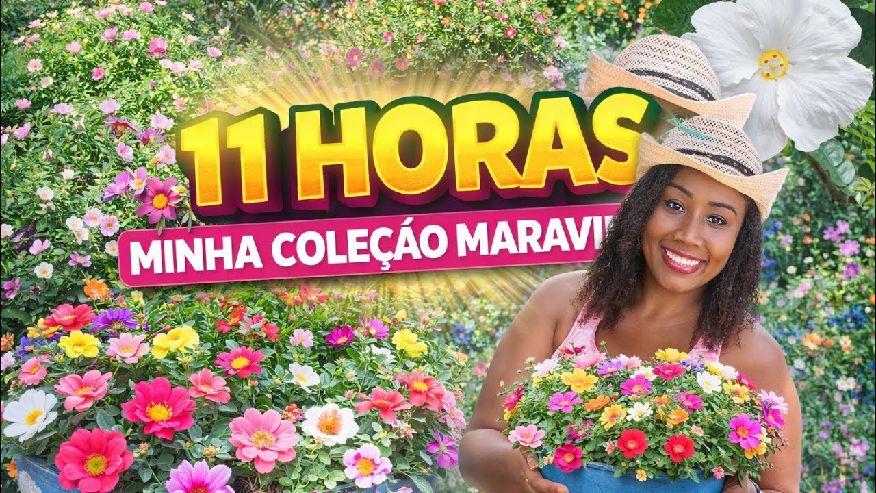 🌸🌼 11 Horas | Minha Coleção de 11 Horas 🌼🌸
