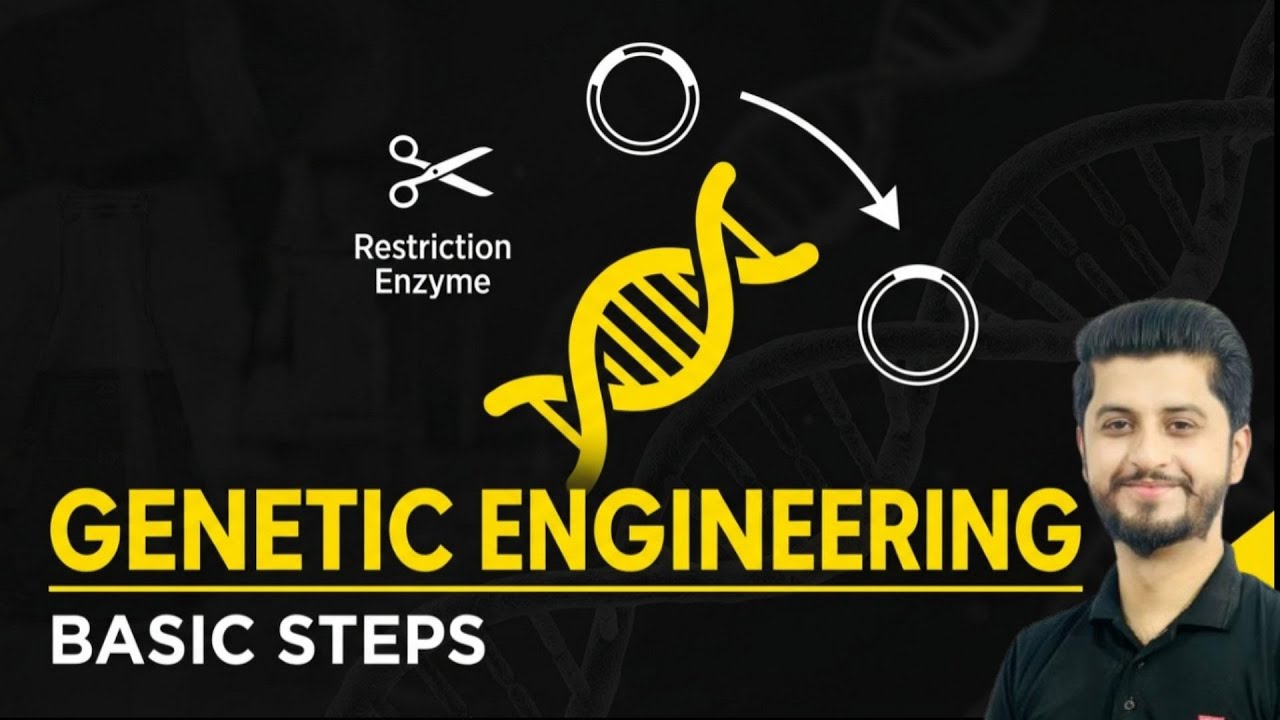 Basic Steps of Genetic Engineering | Biotechnology | Biology 2nd Year | Easy Urdu Explanation