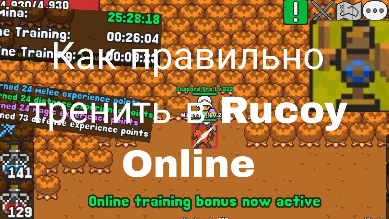 Как правильно тренить в Rucoy Online