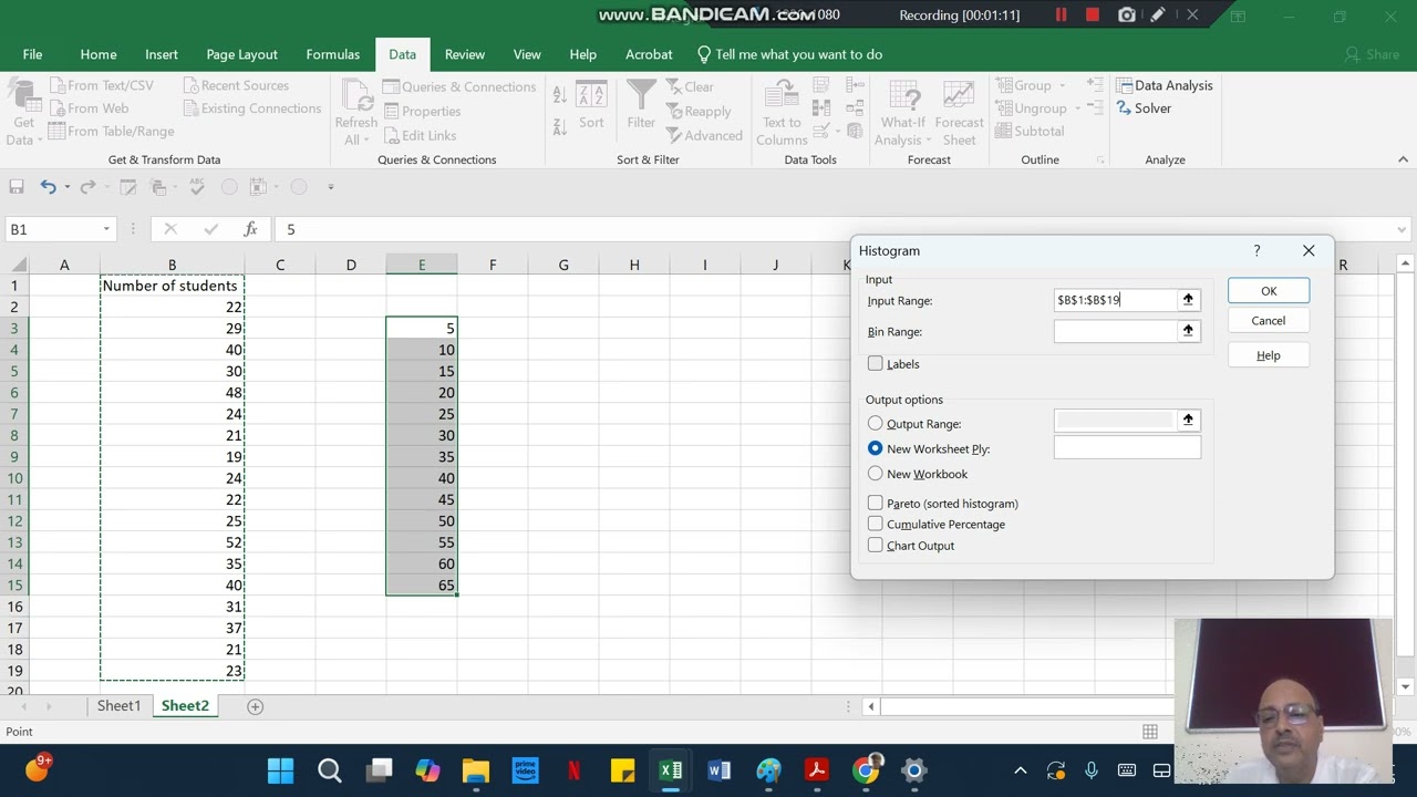 MS Excel: Histogram using Data Analysis Tab
