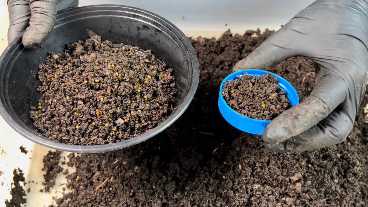4 фактора успеха Breeder Bin