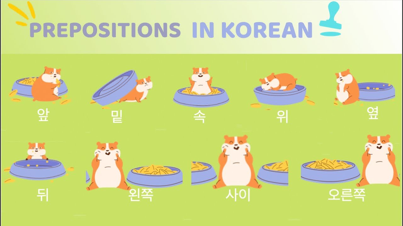 PREPOSITIONS (전치사) IN KOREAN l Where Is A Hamster?