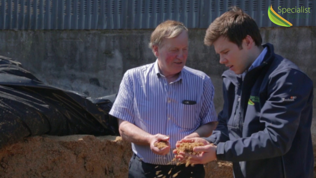 Brewer's Grains Unlocks the Potential in Richard Whelan's Dairy Farm