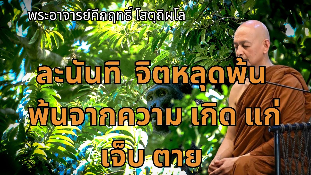ละนันทิ “ จิตหลุดพ้น ” พ้นจากความ เกิด แก่ เจ็บ ตาย |พระอาจารย์คึกฤทธิ์ โสตถิผโล วัดนาป่าพง #พุทธวจน