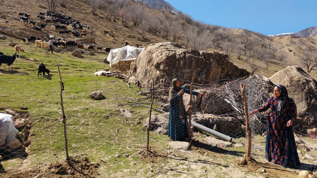 Nomadic life:Building a mountain farm single nomadic girls planting barley and wheat Zagros Mountain