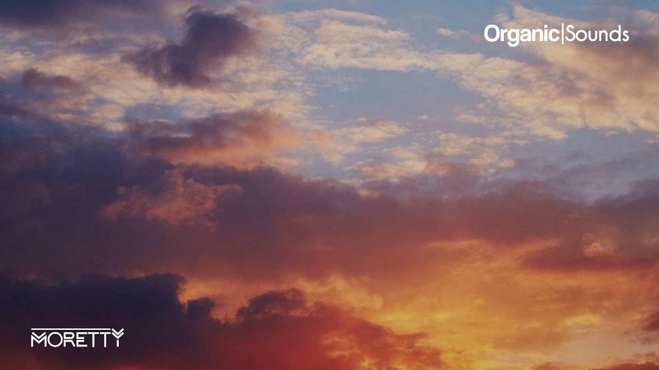 Organic | Sounds - December 2021 MixSet