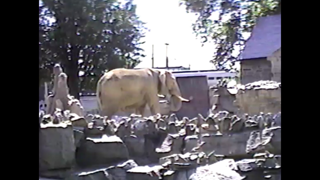 Family Trip to the Philadelphia Zoo - VHS Tape [1989]