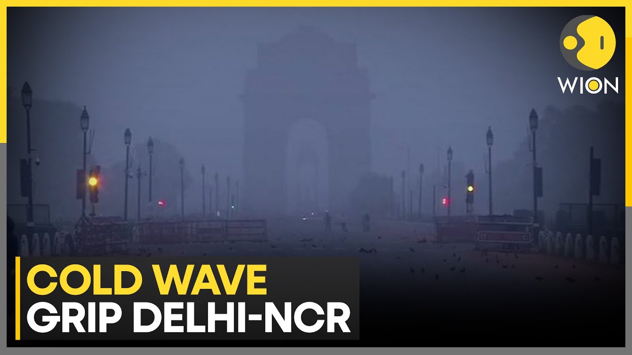 Delhi Shrouded: Fog, Cold Wave Disrupt NCR Life | WION